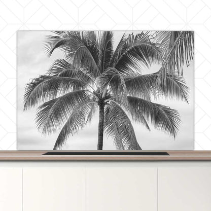 Spatscherm - Palmboom