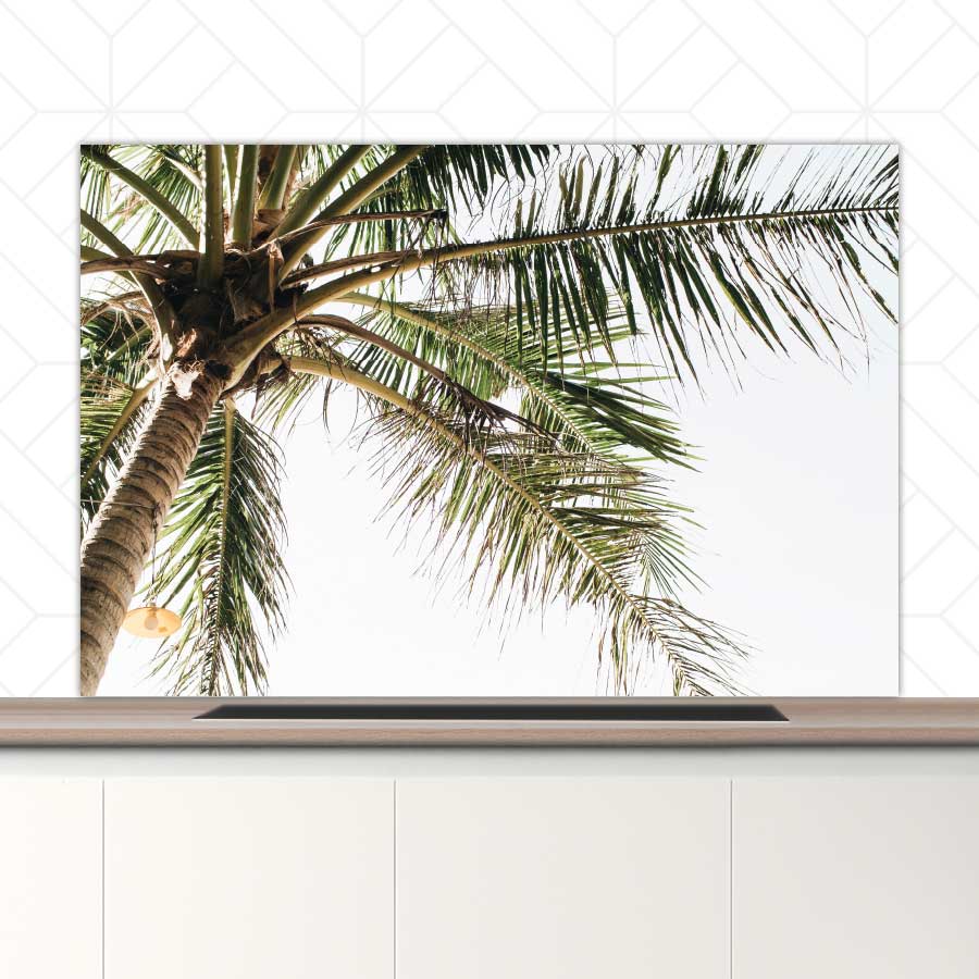 Spatscherm - Palmstrand