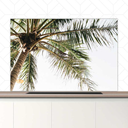 Spatscherm - Palmstrand