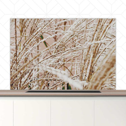 Spatscherm - Droge rietstengels