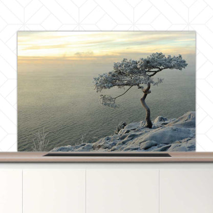 Spatscherm - Winterboom