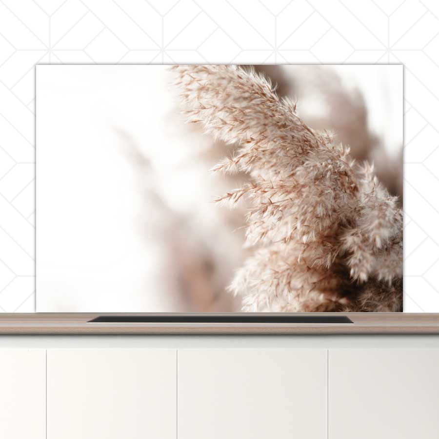 Spatscherm - Pampas gras