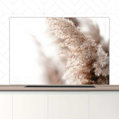 Spatscherm - Pampas gras