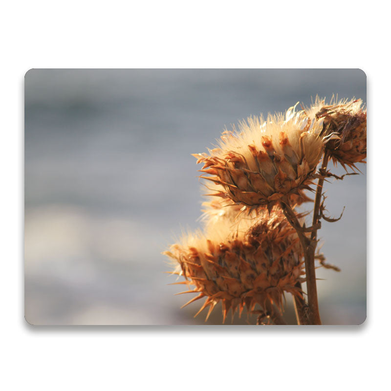 Golden field - Luxe droogbloemen placemat vinyl van Kookio