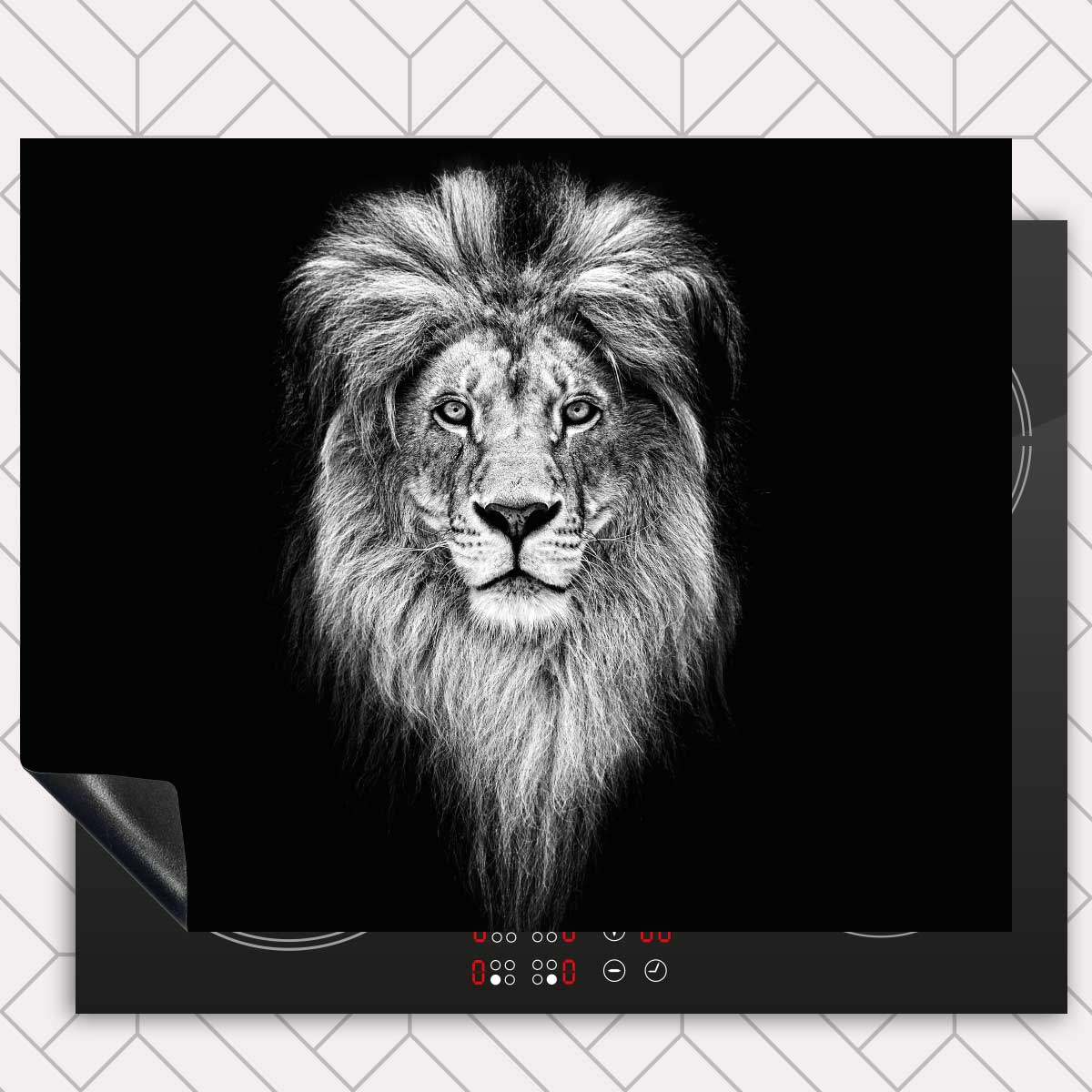 Inductie beschermer - Leeuw