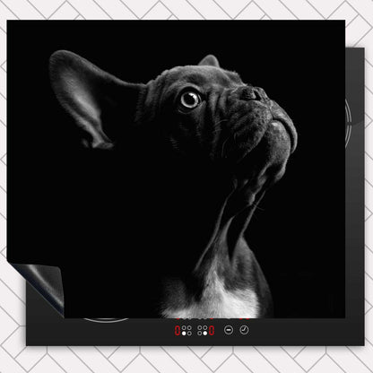 Inductie beschermer - Franse bulldog