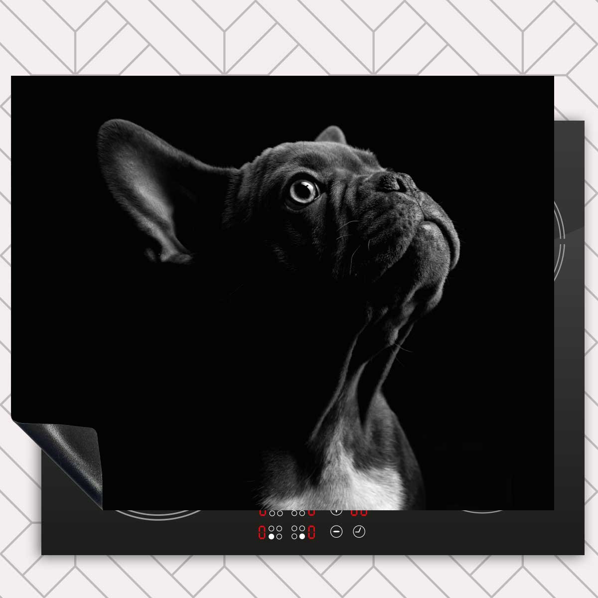 Inductie beschermer - Franse bulldog