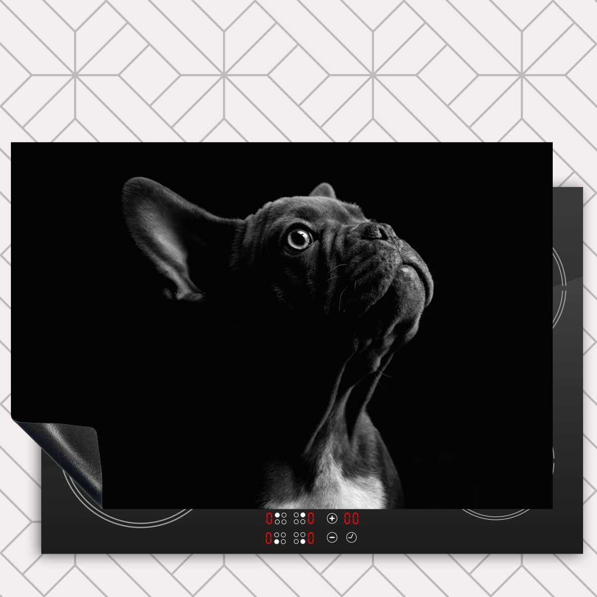 Inductie beschermer - Franse bulldog