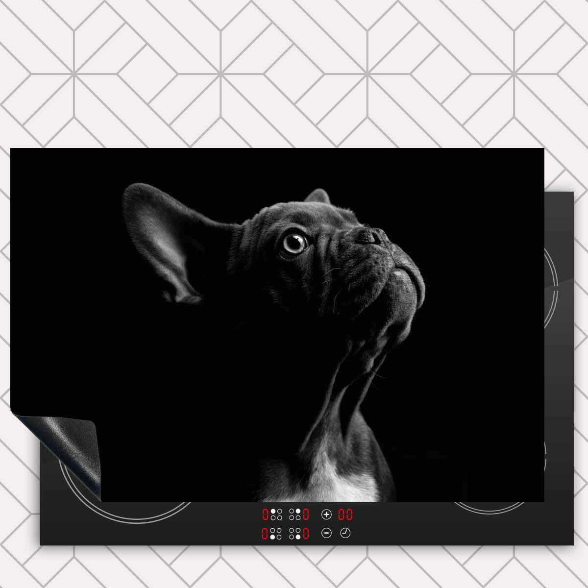 Inductie beschermer - Franse bulldog