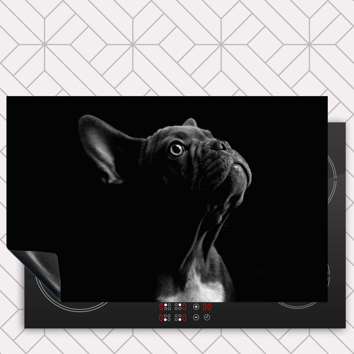 Inductie beschermer - Franse bulldog