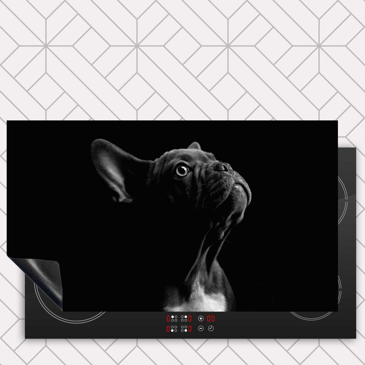 Inductie beschermer - Franse bulldog