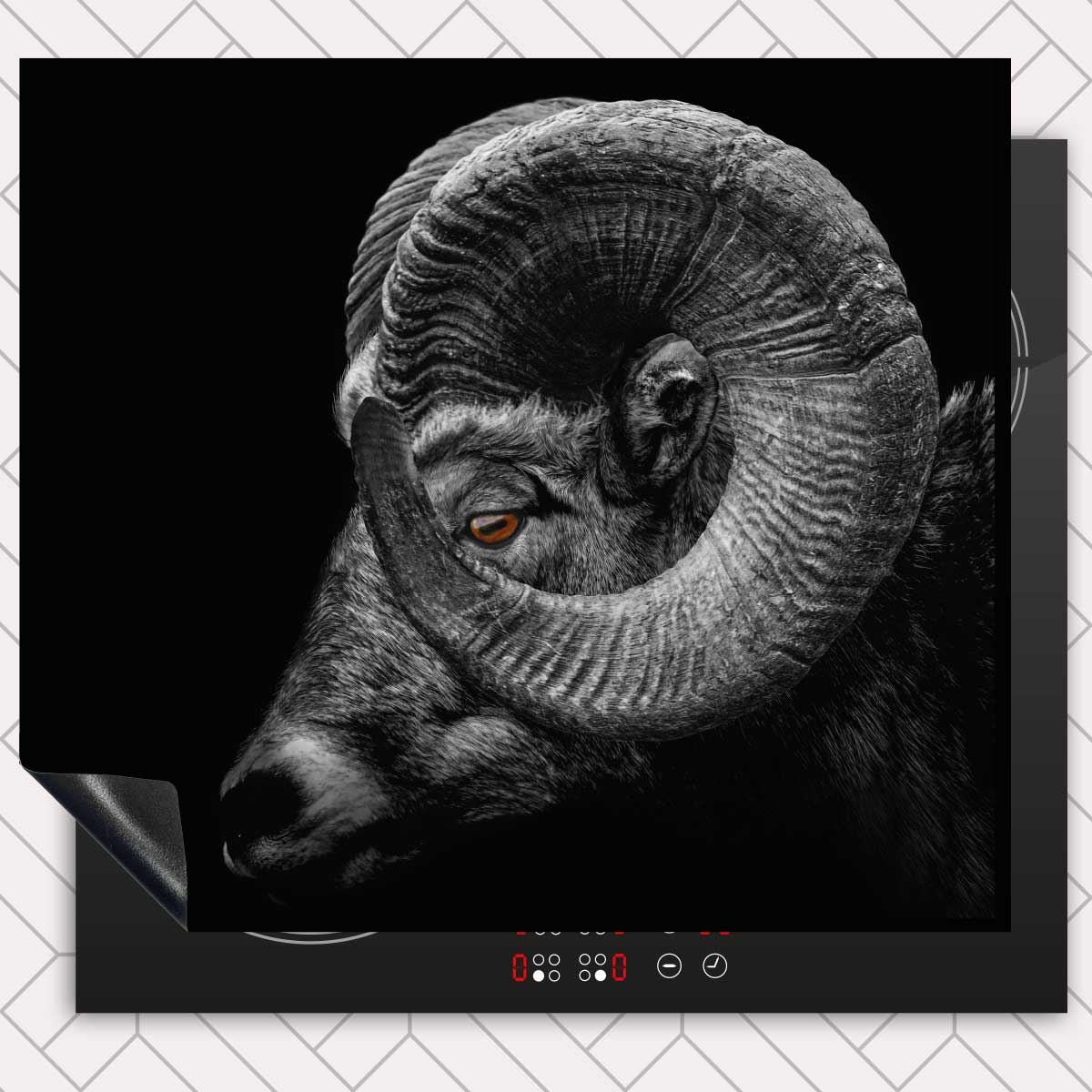 Inductie beschermer - Ram