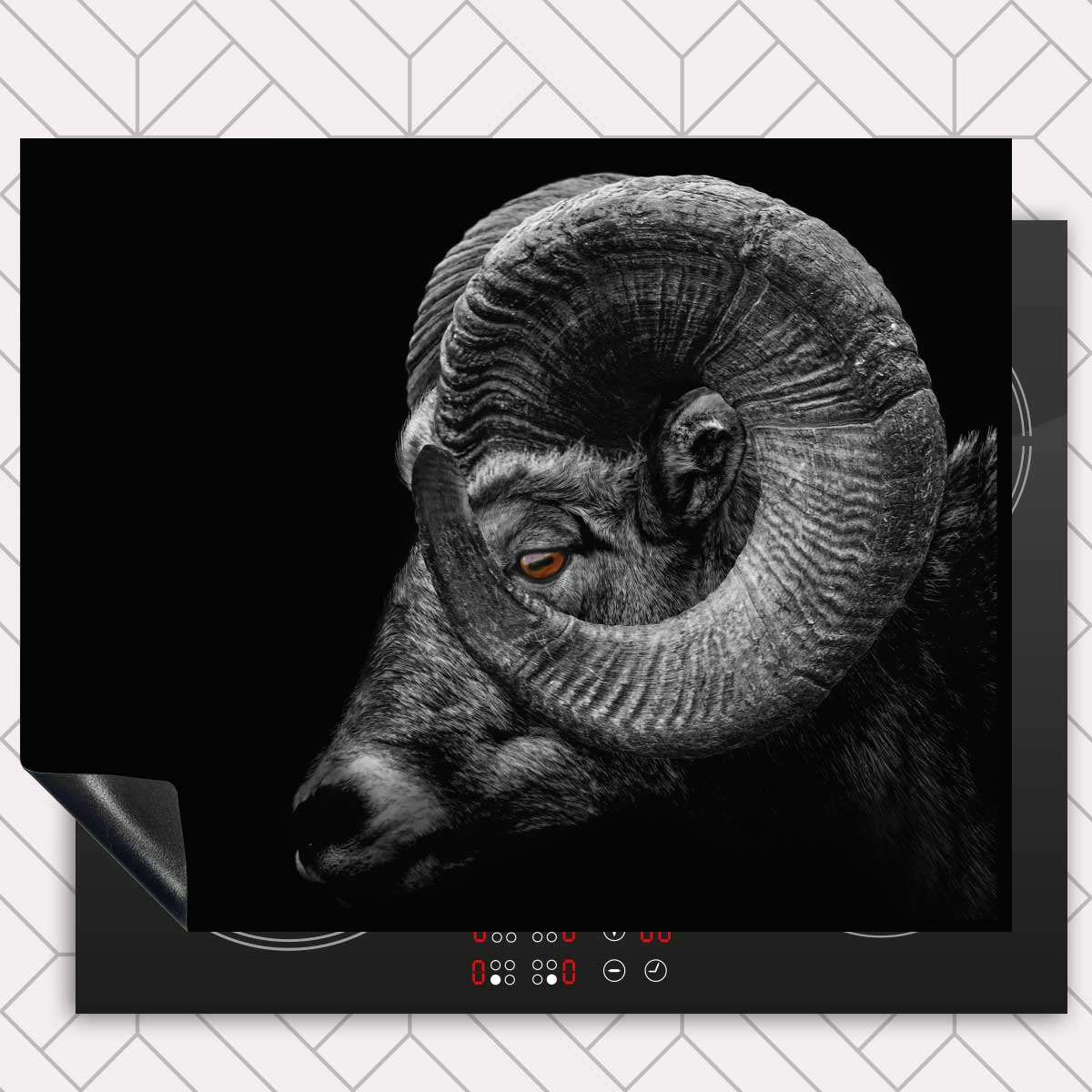 Inductie beschermer - Ram