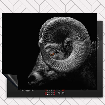 Inductie beschermer - Ram