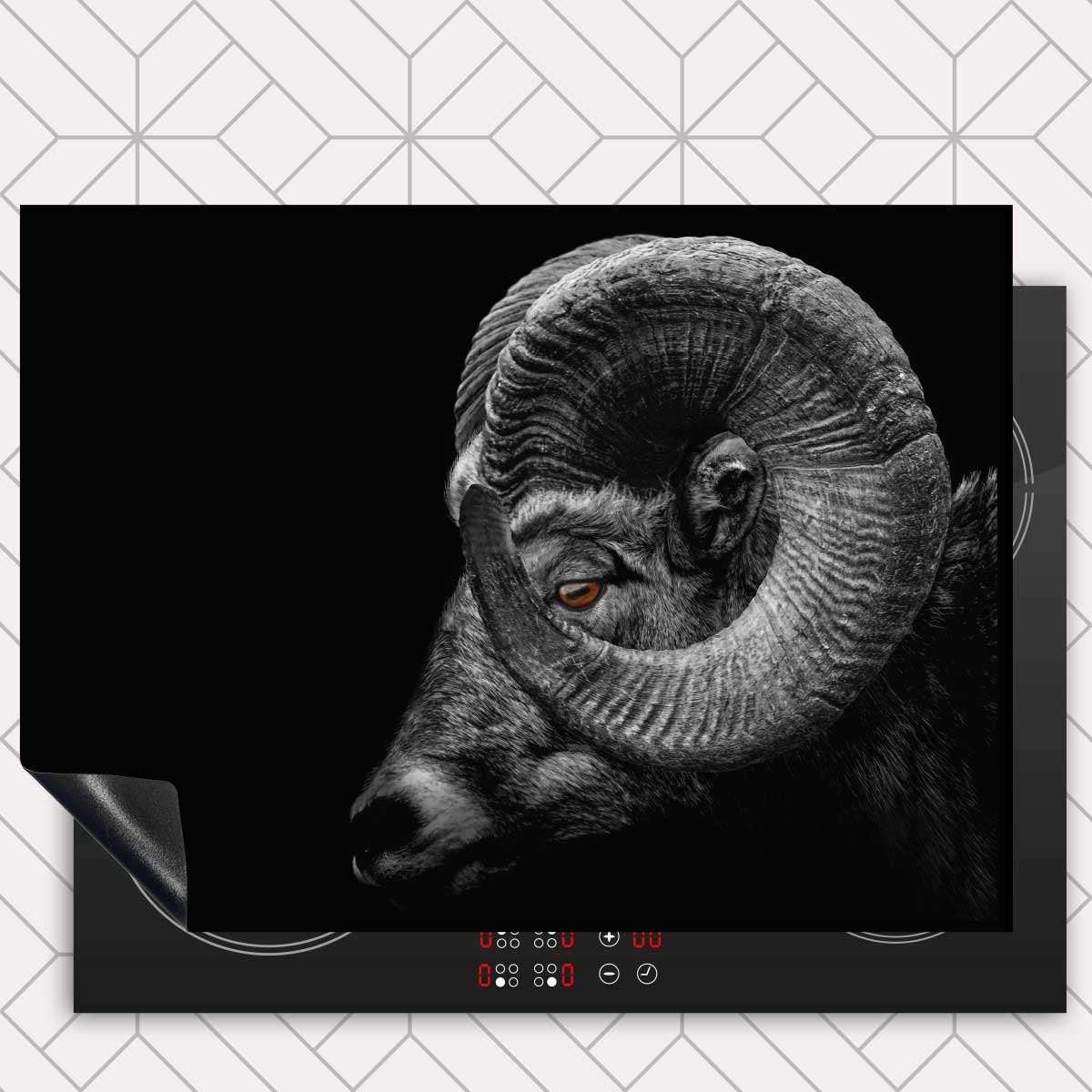 Inductie beschermer - Ram