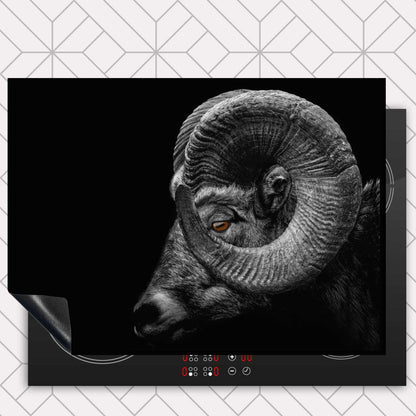 Inductie beschermer - Ram