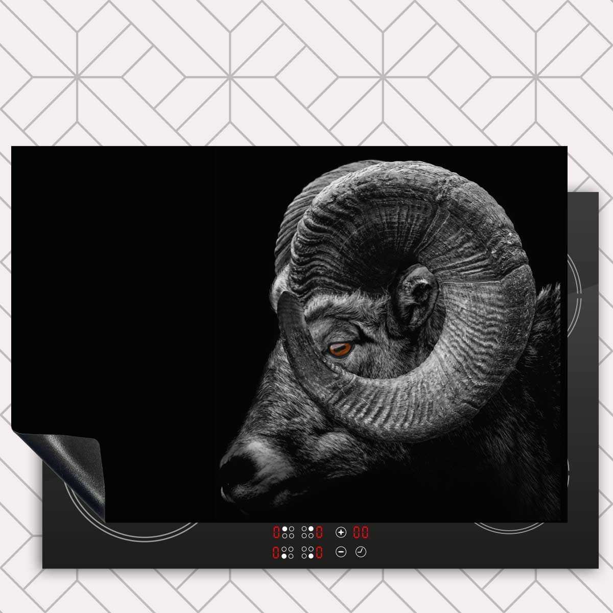 Inductie beschermer - Ram