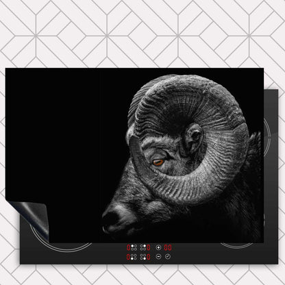 Inductie beschermer - Ram