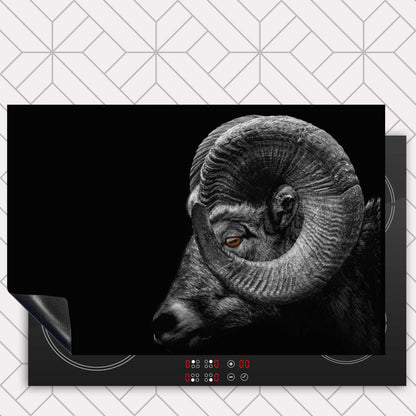 Inductie beschermer - Ram