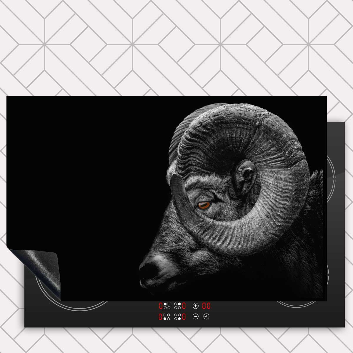 Inductie beschermer - Ram