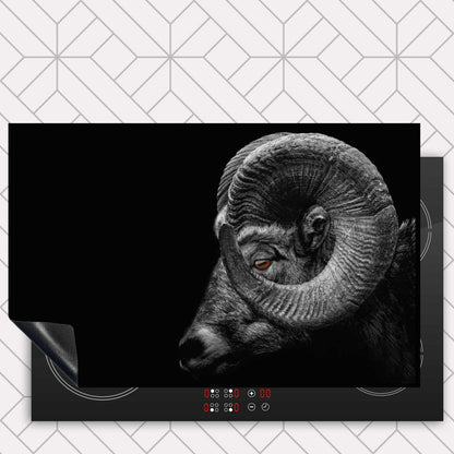 Inductie beschermer - Ram