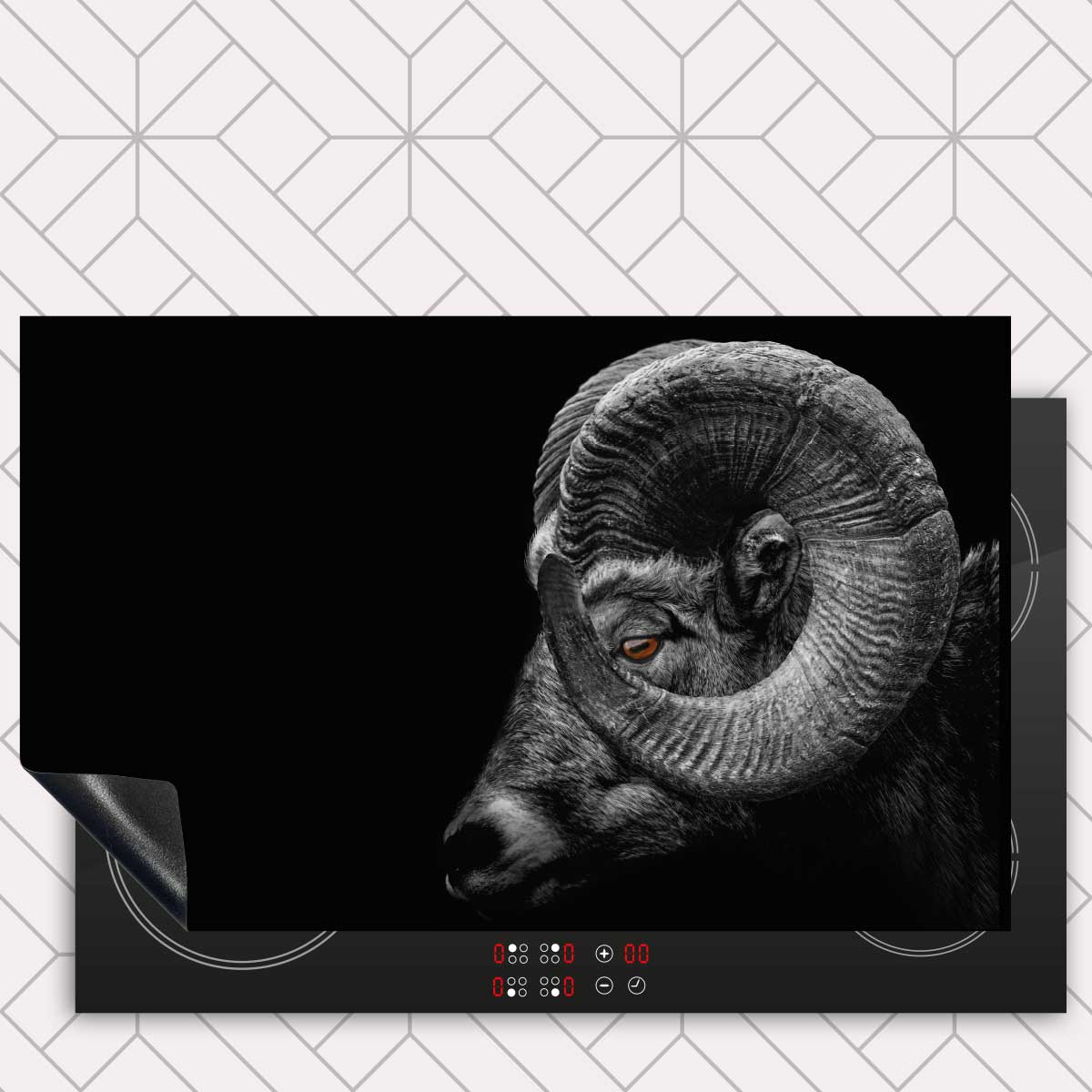 Inductie beschermer - Ram