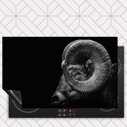 Inductie beschermer - Ram