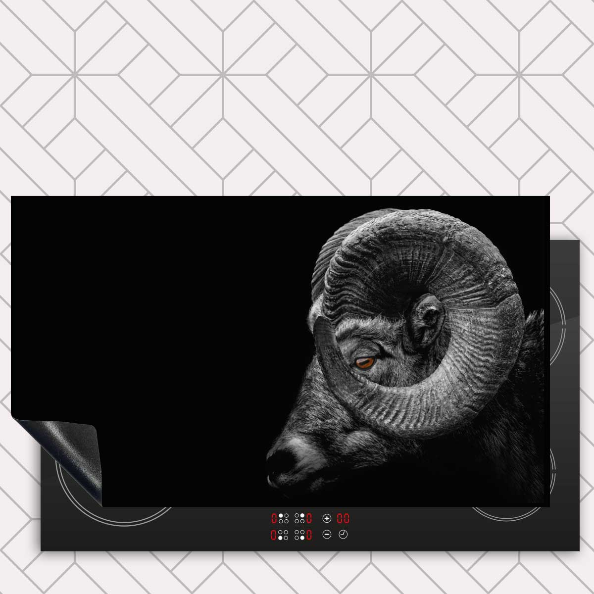 Inductie beschermer - Ram