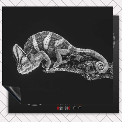 Inductie beschermer - Kameleon