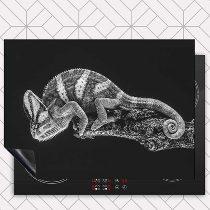 Inductie beschermer - Kameleon