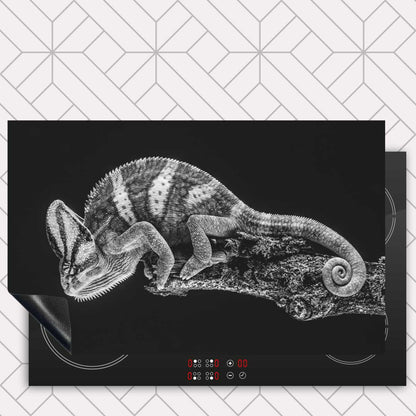 Inductie beschermer - Kameleon