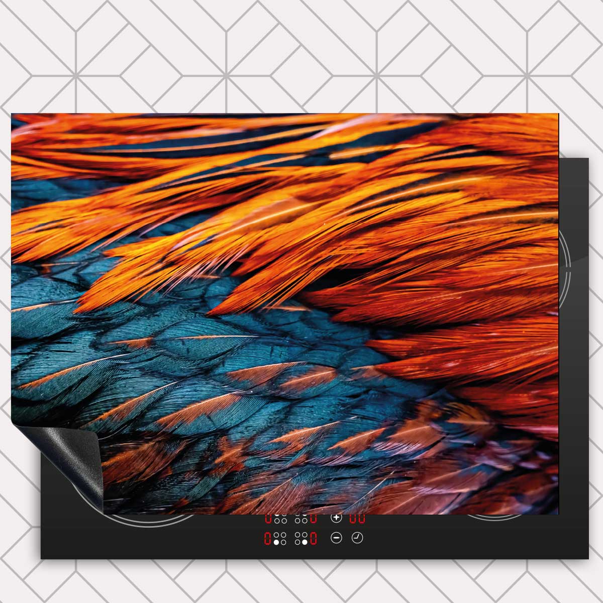 Inductie beschermer - Hanenveer