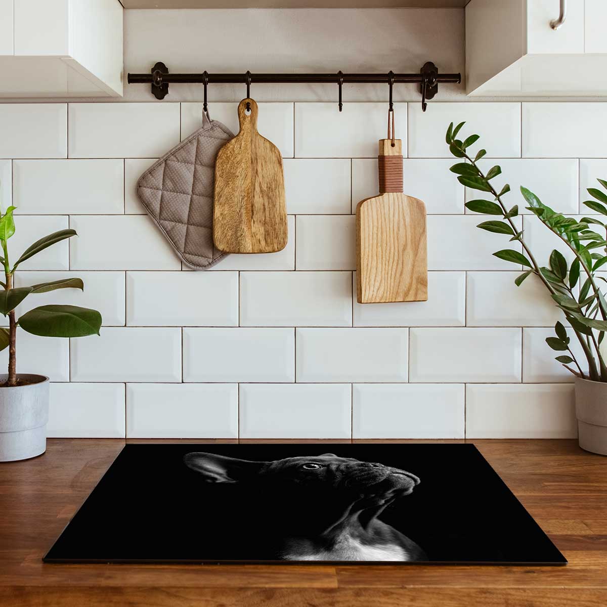 Inductie beschermer - Franse bulldog