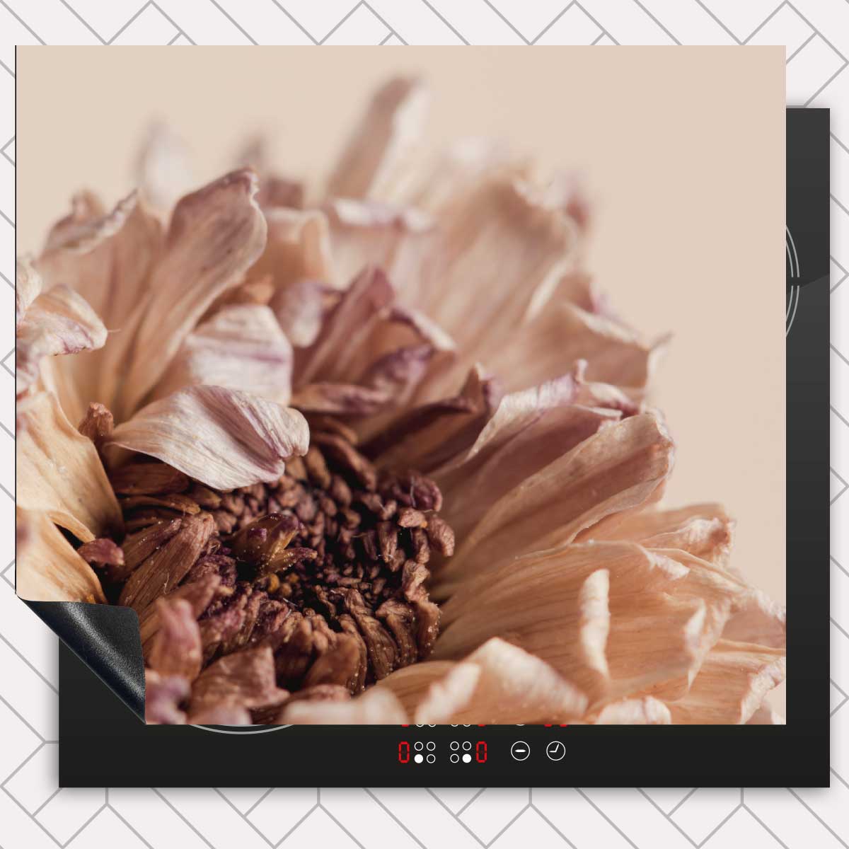 Inductie beschermer - Gedroogde chrysant