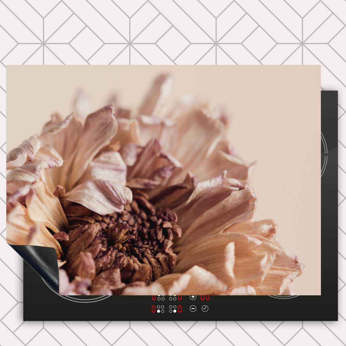 Inductie beschermer - Gedroogde chrysant