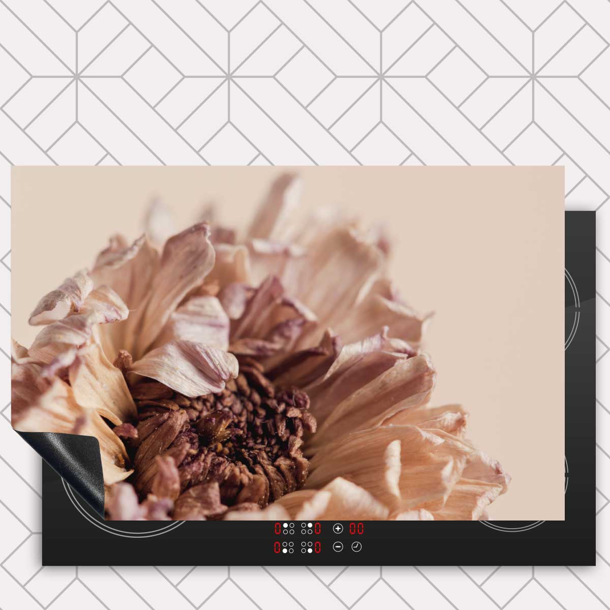 Inductie beschermer - Gedroogde chrysant