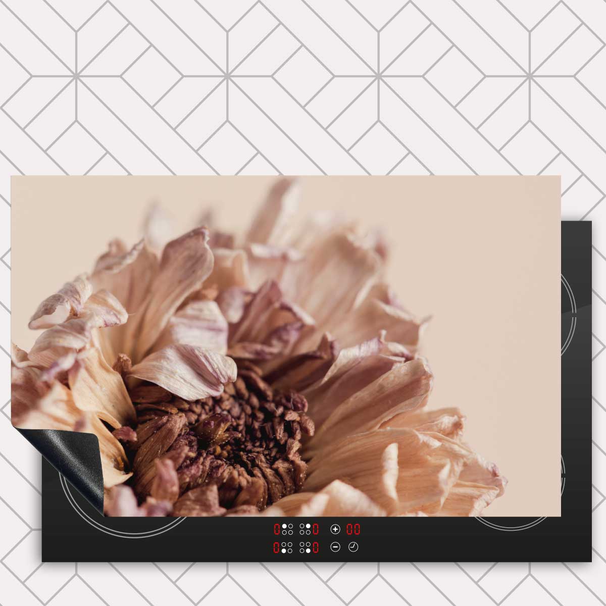 Inductie beschermer - Gedroogde chrysant