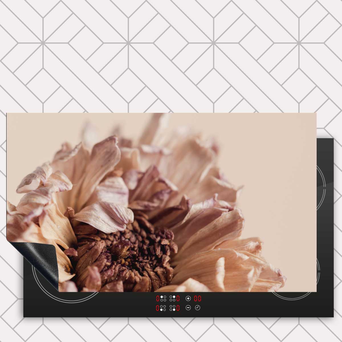 Inductie beschermer - Gedroogde chrysant