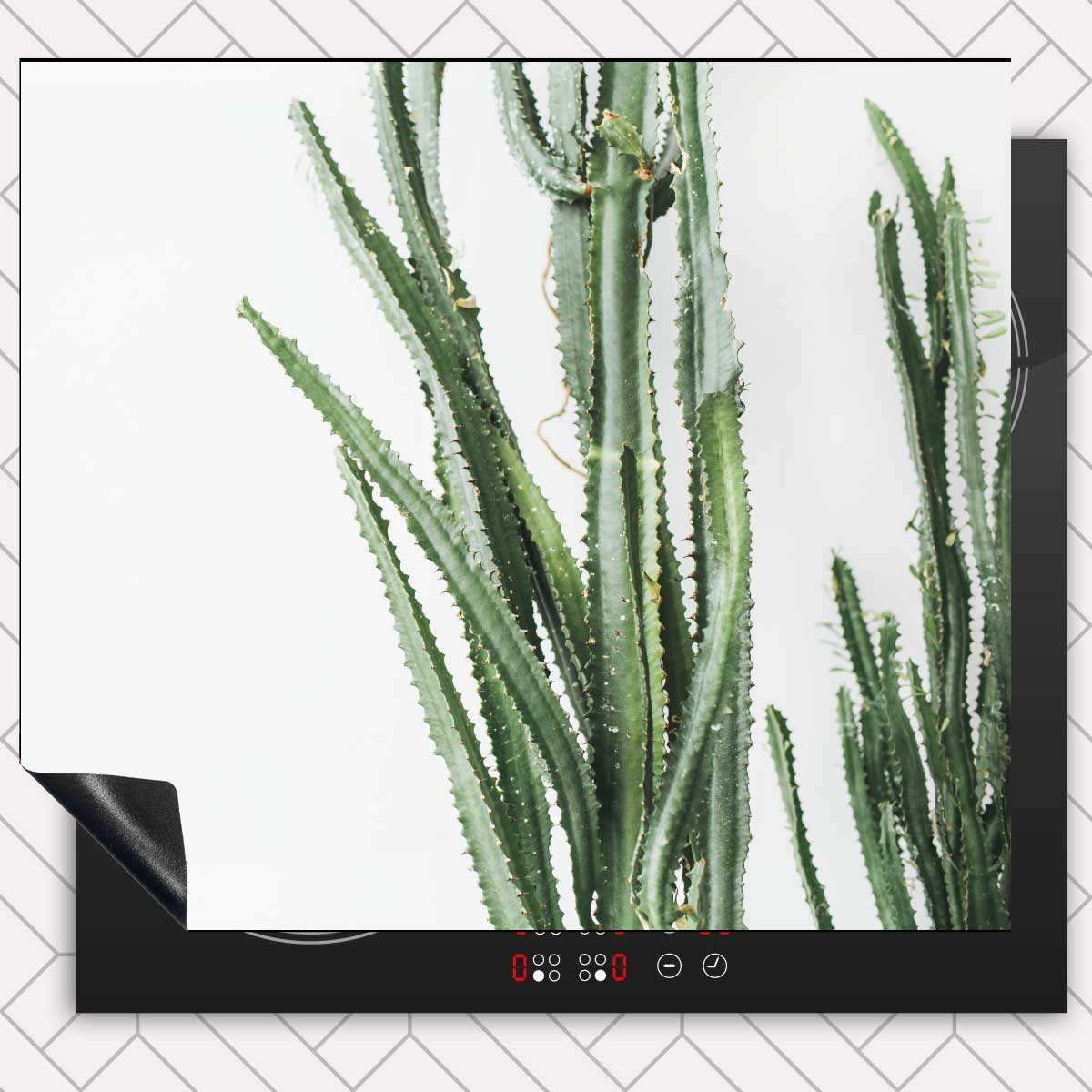 Inductie beschermer - Cactus