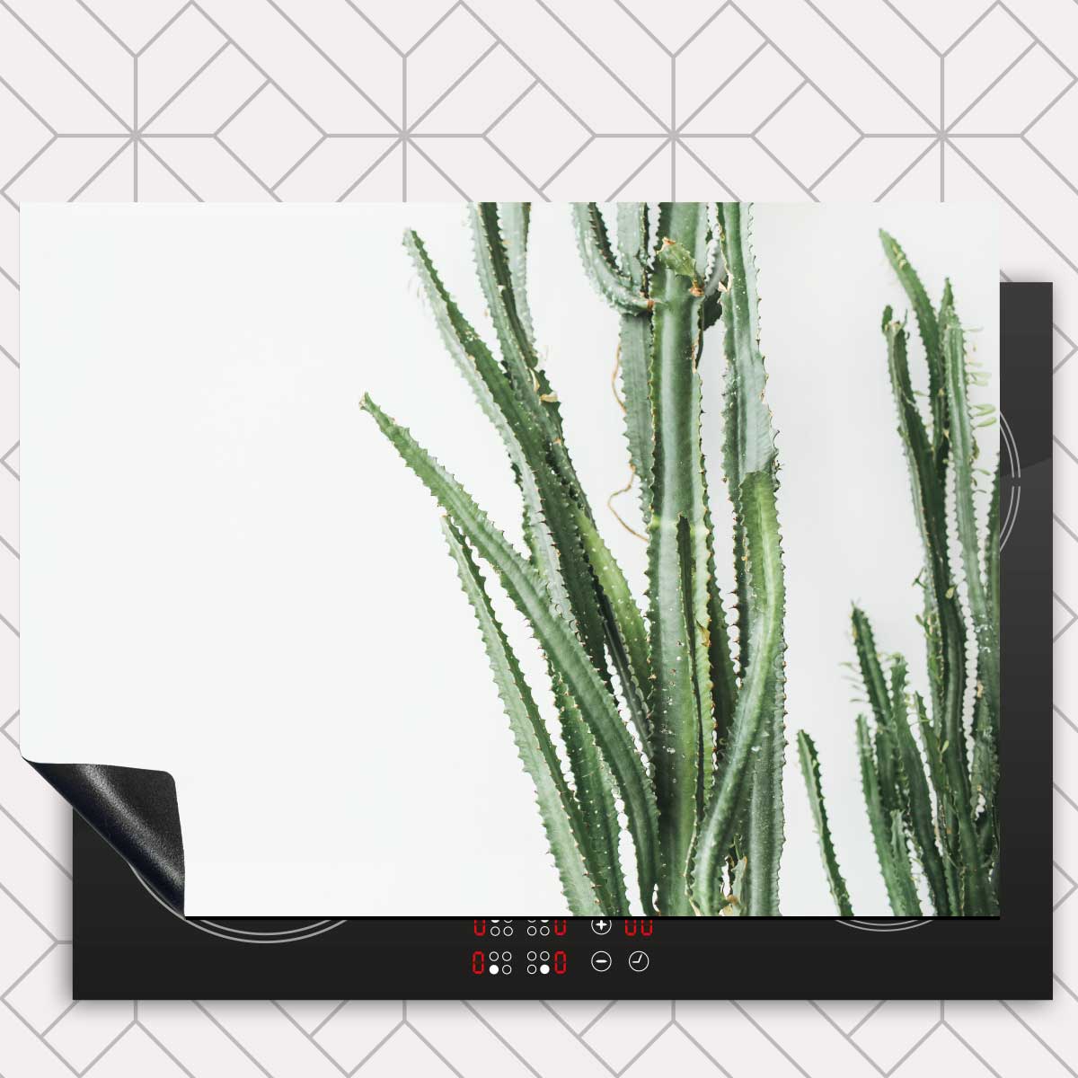 Inductie beschermer - Cactus