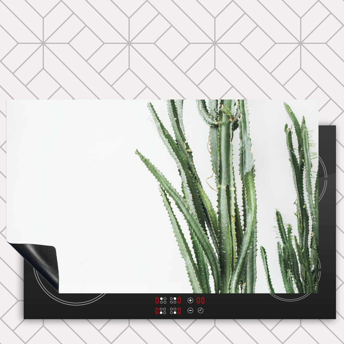 Inductie beschermer - Cactus