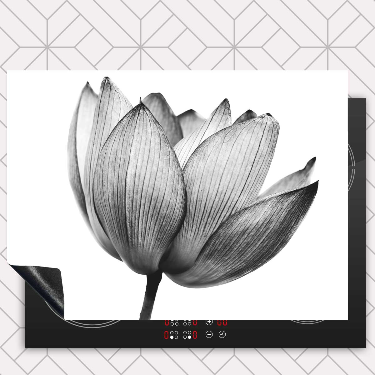 Inductie beschermer - Lotus in zwart-wit