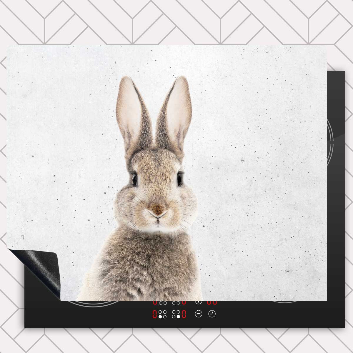 Inductie beschermer - Funny konijn beton