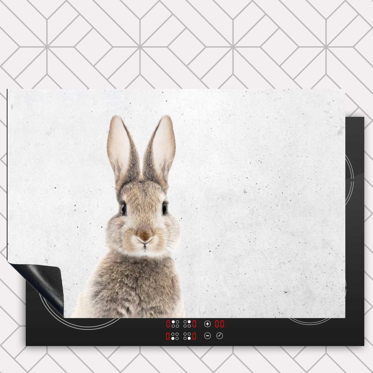 Inductie beschermer - Funny konijn beton