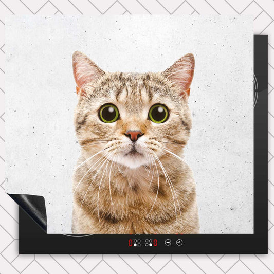 Inductie beschermer - Funny kat beton