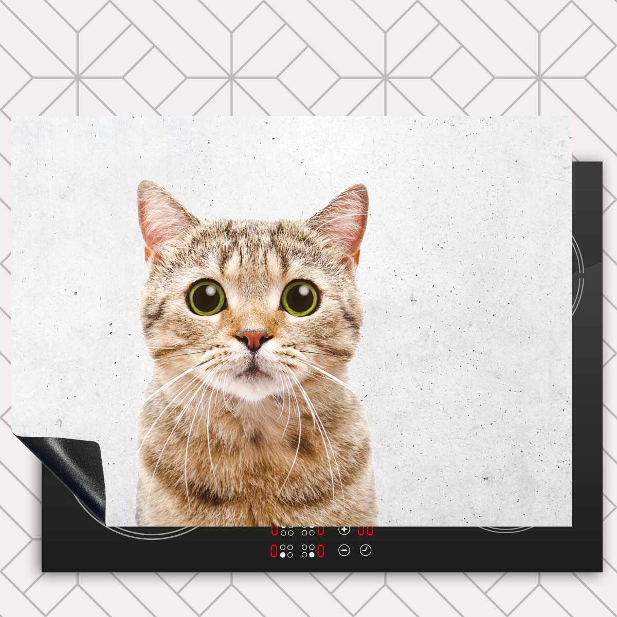 Inductie beschermer - Funny kat beton