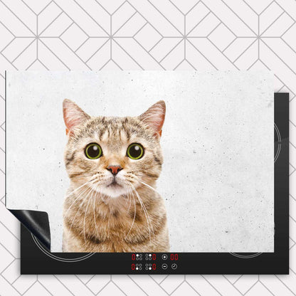 Inductie beschermer - Funny kat beton