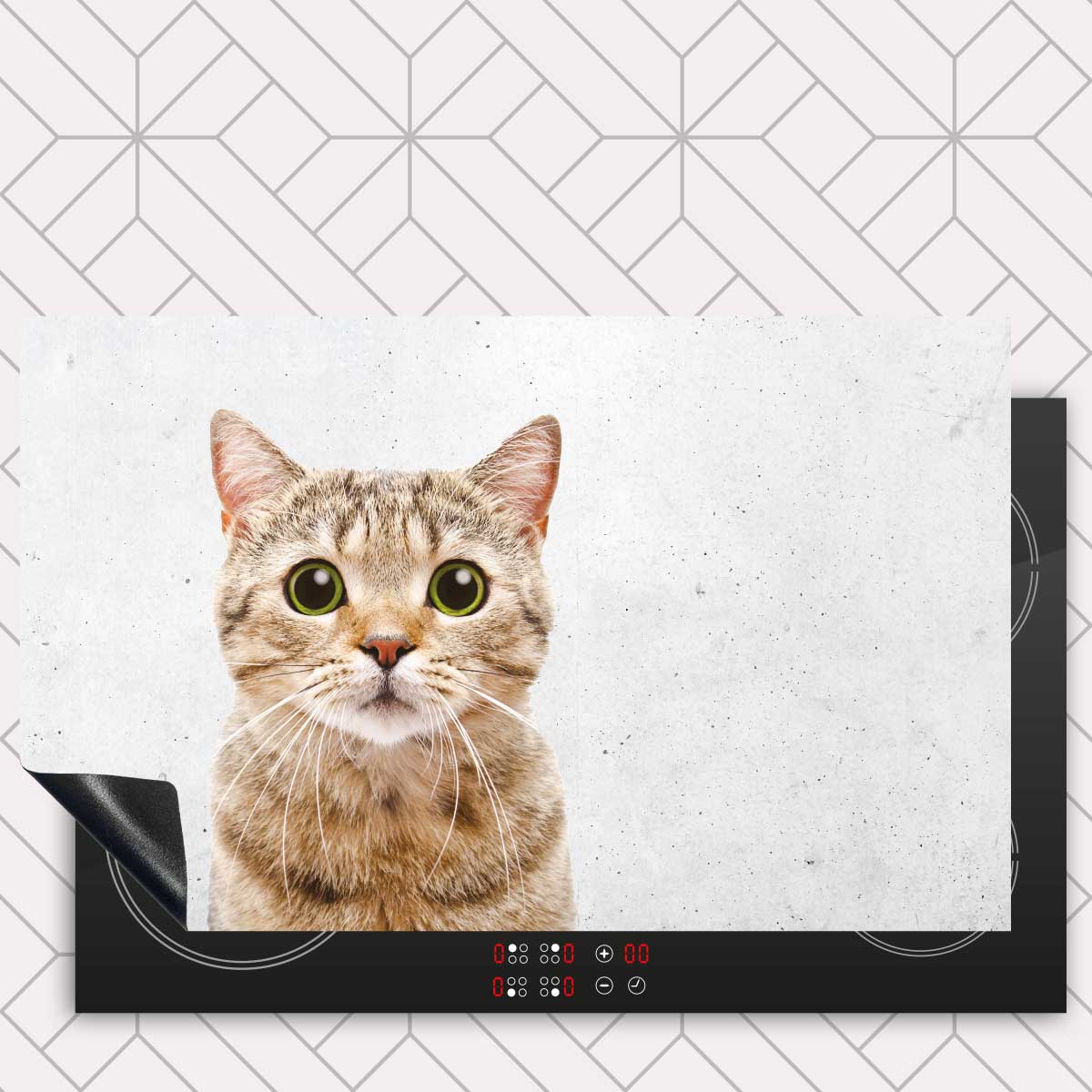 Inductie beschermer - Funny kat beton