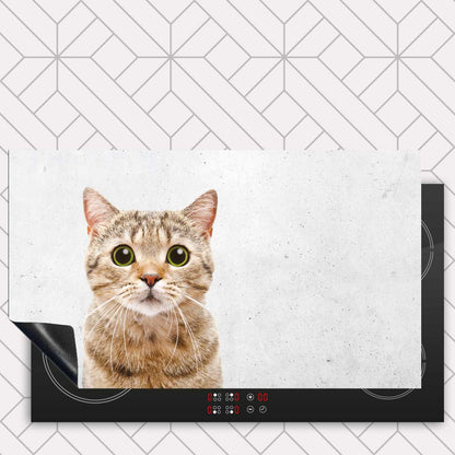 Inductie beschermer - Funny kat beton