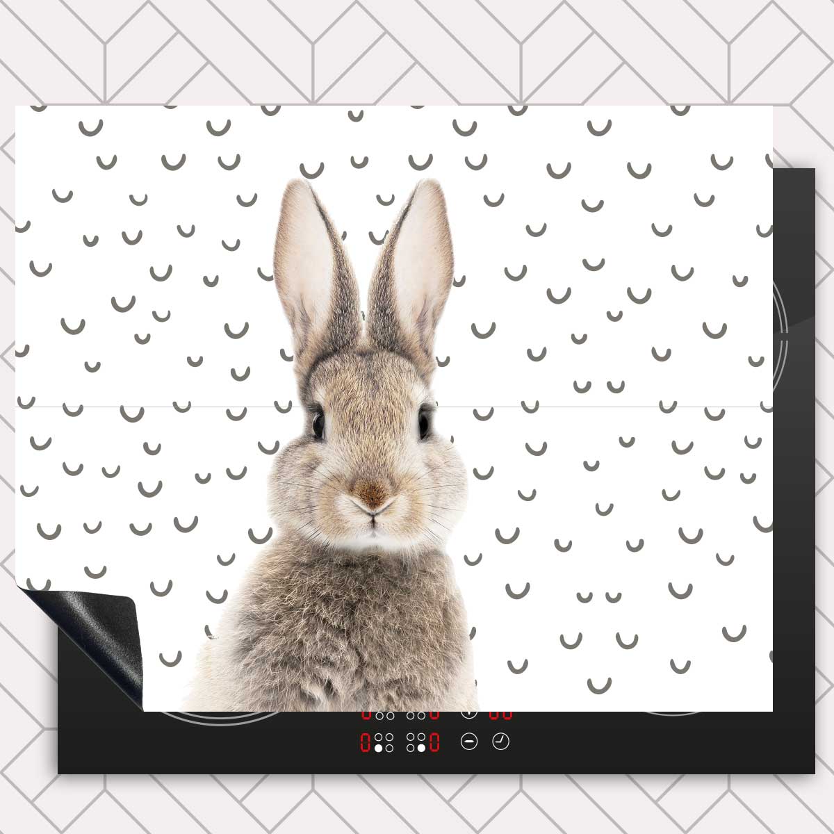 Inductie beschermer - Funny konijn fugler